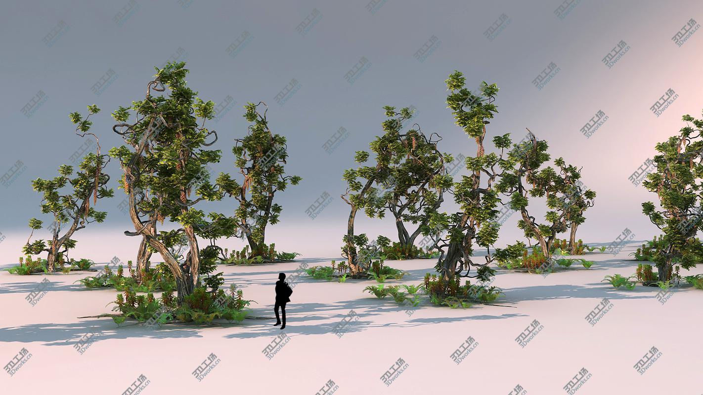images/goods_img/2021040232/Magical Forest Pack 21/5.jpg